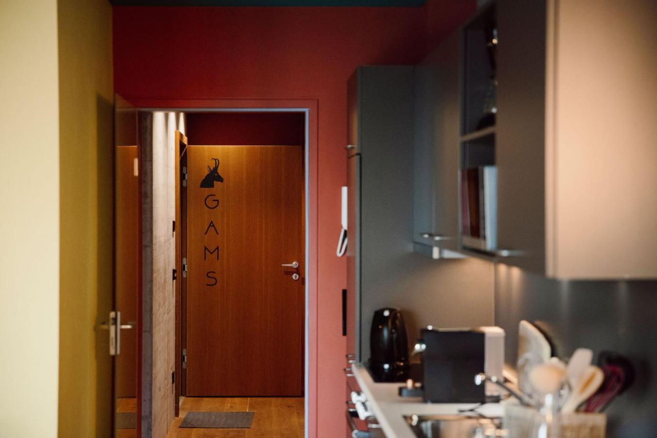 Appartement Schwarz Sankt Johann im Pongau Kültér fotó